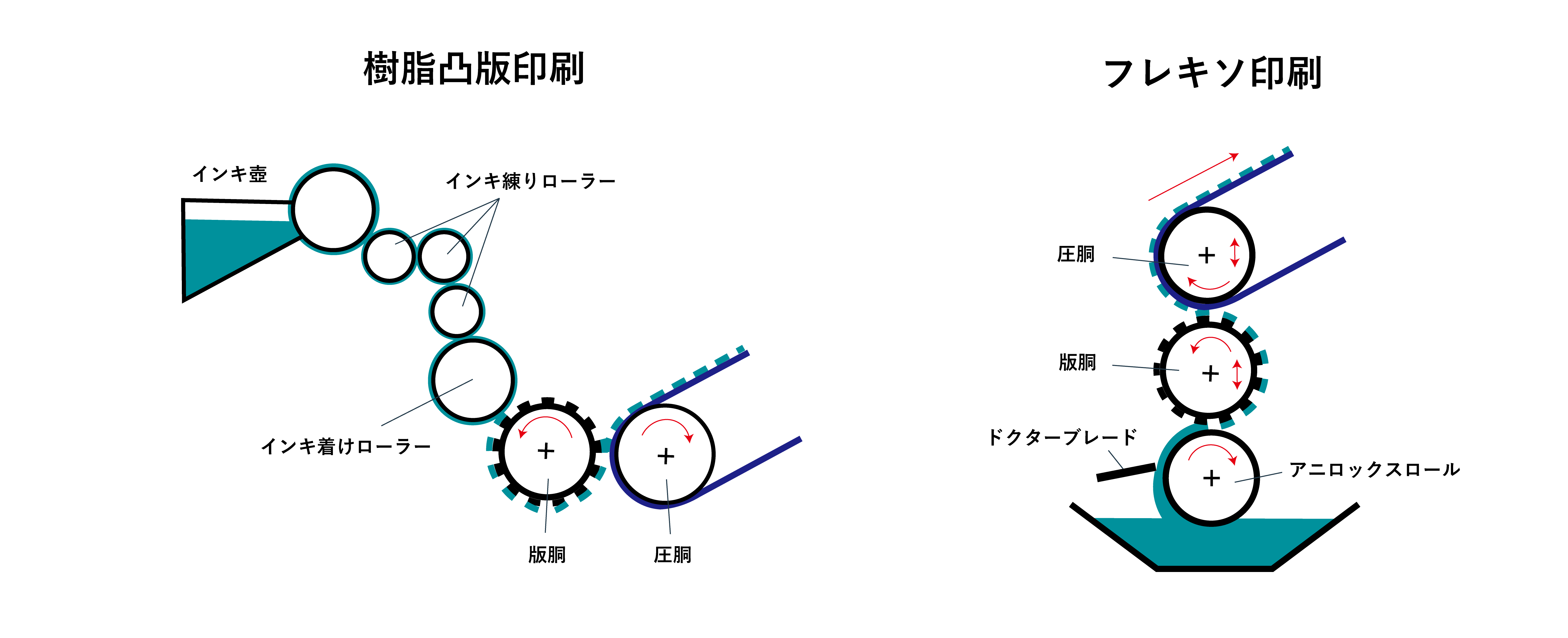 樹脂凸版とフレキソ印刷方式の比較