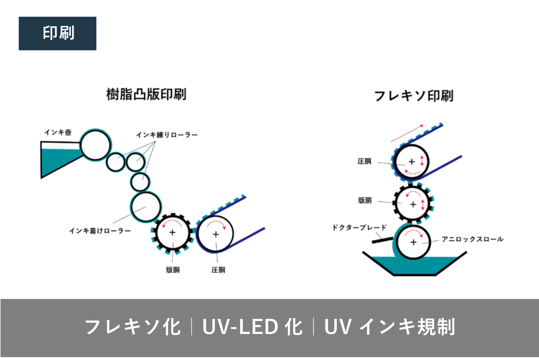 ローラ様 リクエスト 3点 まとめ商品 ナカバヤシ パーソナル 